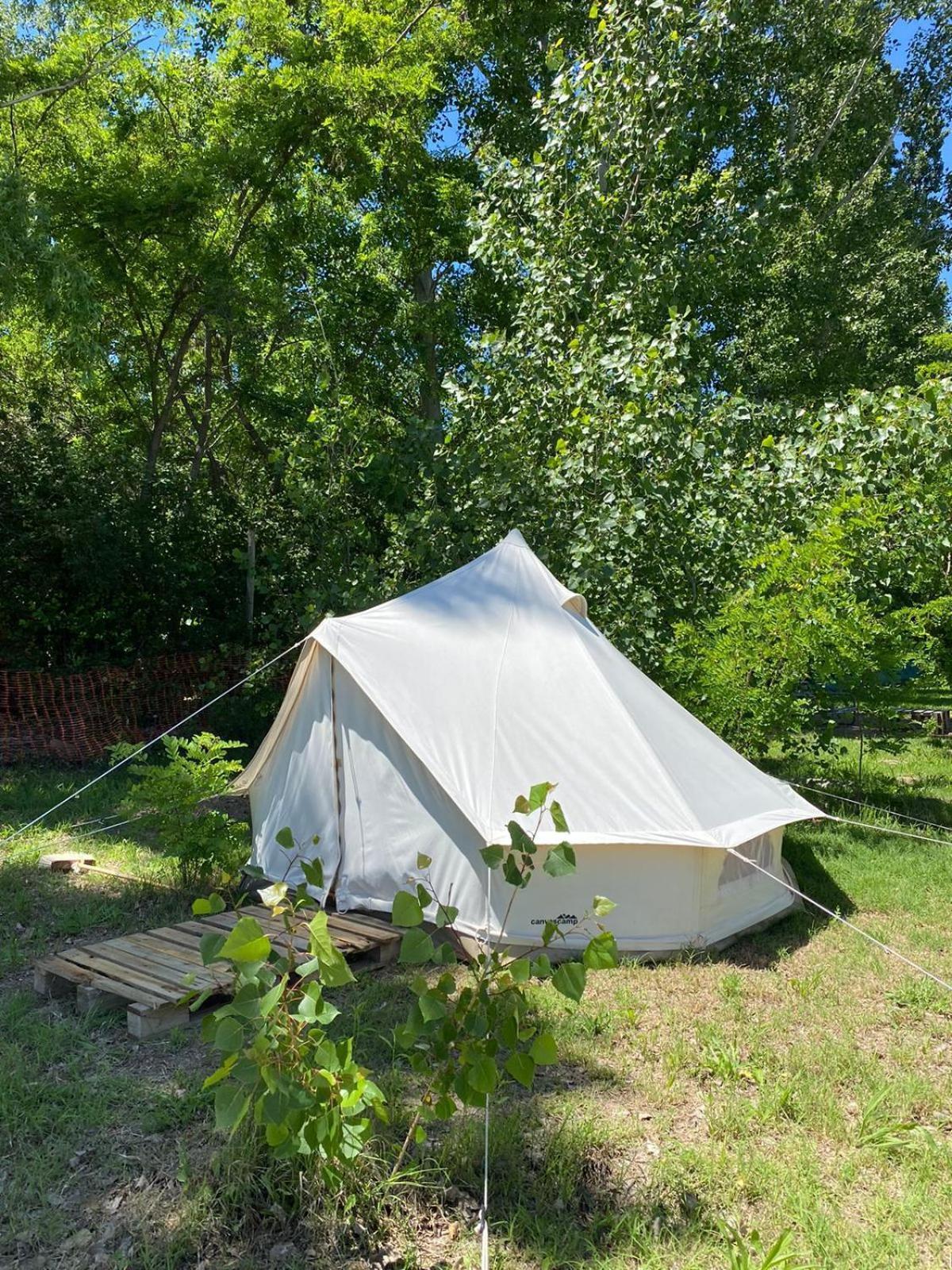 Vivac Camp Campsite *